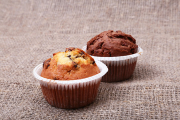 blueberry and chocolate muffins in paper cupcake holder