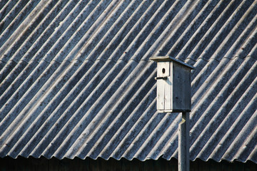 A starling house 