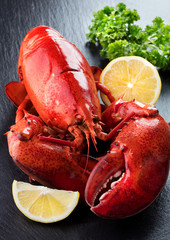 Red lobster with lemon and green on wooden background
