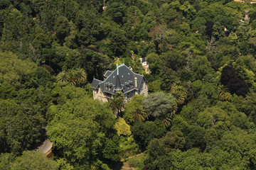 Aerial view from the Palace from quinta da Regaleira surrounded by trees and vegetation in Sintra Portugal