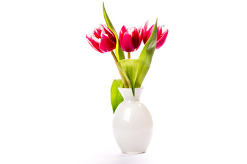 beautiful tulips for international woman day