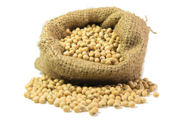 Soy beans isolated on white background