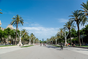 walk in barcelona