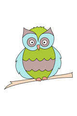 Colored owl sitting on a branch isolated