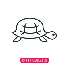 Turtle icon vector