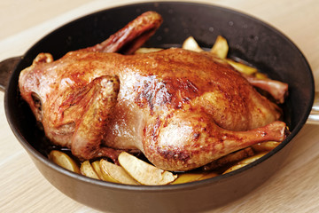 Homemade roast duck with apples. Rustic recipe.