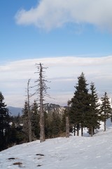 Winter landscape in Romania, Poiana Brasov, Postavarul Mountains