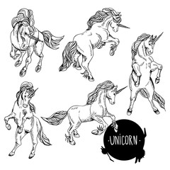 Hand drawn monochrome set of unicorn