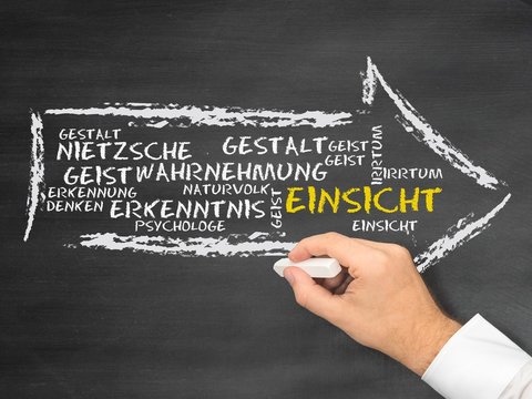 Einsicht