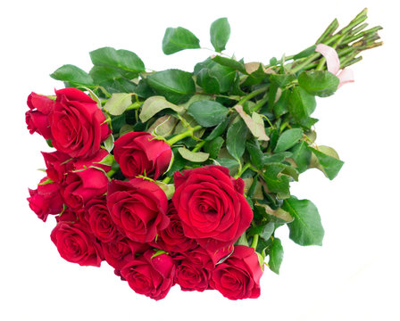Bouquet of dark red rose flowers buds with green leaves isolated on white background