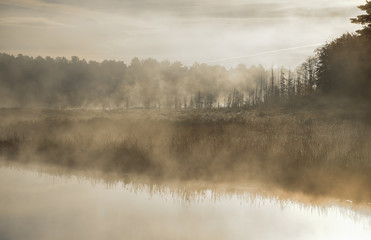 Mist rises from a marsh on an Ontario lake.  Contrail in pale summer sky.  Sunrise over narrow passage of a lake.   A row of swamped, dying spruce trees is enshrouded in fog.