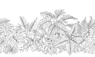 Tropical Plants Line Horizontal Pattern