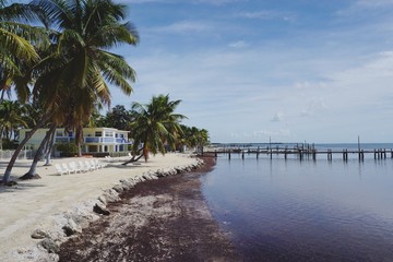 Küste der Florida Keys