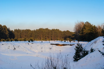 łąka na skraju lasu zimą