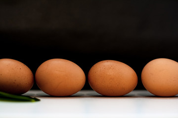 Chicken eggs on rustic black-and-white background