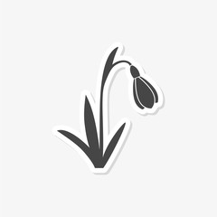 Snowdrop, vector icon - Illustration