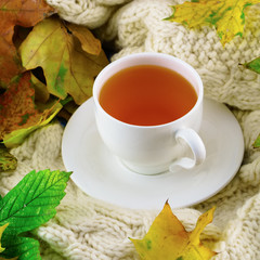 Cup of tea on light pastel wool textile plaid with autumn fallen yellow and green leaves. Selective focus, square, top view.