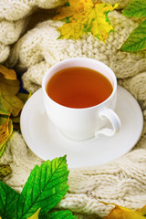 Cup of tea on light pastel wool textile plaid with autumn fallen yellow and green leaves. Selective focus. vertical, top view.