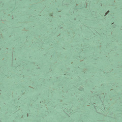 Green paper background with dried plants