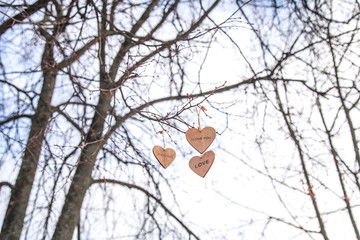 wooden hearts on the tree