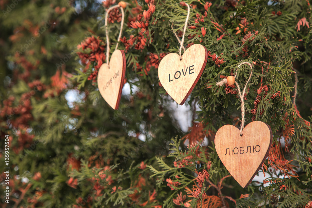 Wall mural wooden hearts on the tree