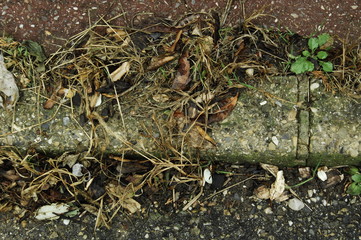 trottoir encombré de détritus 