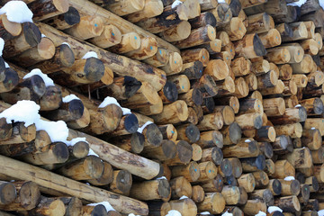 Holzstapel © Klaus Eppele