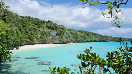 Fototapeta na wymiar Beautiful beach on Lifou Island, New Caledonia