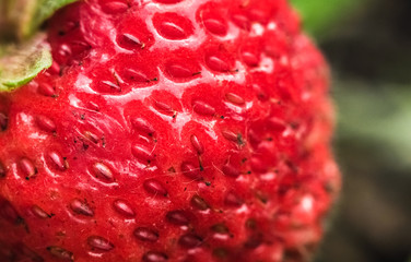 Juicy, delicious strawberry macro photo.