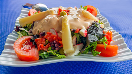 Plato con Ensalada Variada Vegetal y Pulpo con mucho colorido 