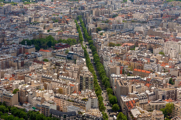 Obraz premium Parisian skyline.