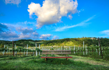 Rote Bank in den Weinbergen