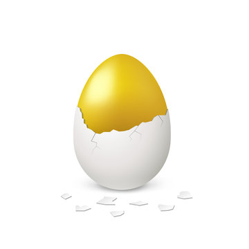 Golden egg in white eggshell on white background