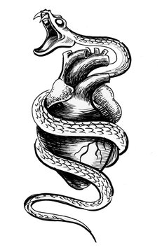 Heart and snake