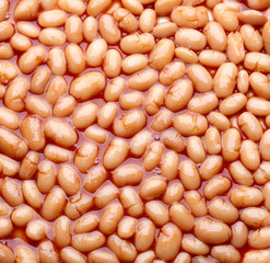 White beans with tomato sauce. The average of sauce. Top view.