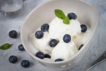 Vanilla Ice Cream with blueberries