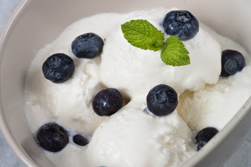 Vanilla Ice Cream with blueberries