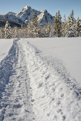 Snowmobile trail leads to the mountains