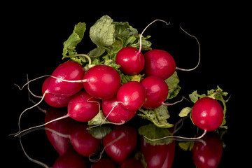 Red radishes with greens close up