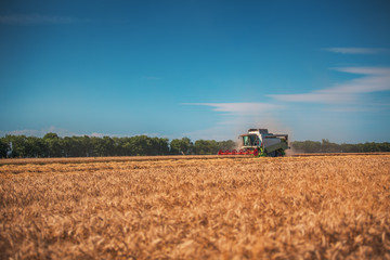 Obraz premium Combine harvester agriculture machine harvesting golden ripe whe