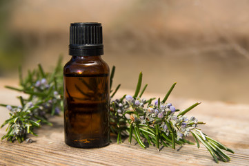 Rosemary oil in small glass bottle with plant