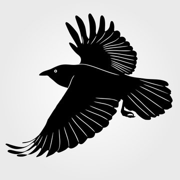 recommend clip art: Flying Raven icon on a white background