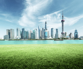 Naklejka premium Panoramę Szanghaju i zielona trawa w parku, Chiny