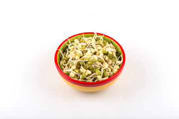 Pea seeds with sprouts close up