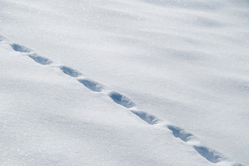 Footprints in snow