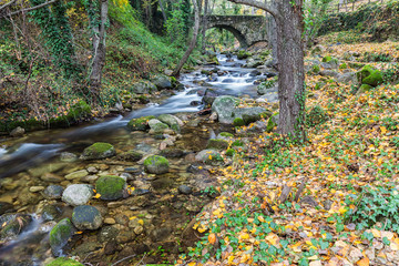 Landscape near Aldeanueva de la Vera, Caceres. Extremadura. Spain.