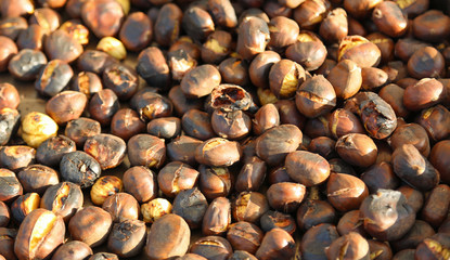 many ripe chestnuts for sale in the market