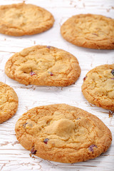 Crunchy cookie with cranberries on the table