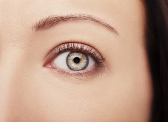 A beautiful insightful look woman's eyes