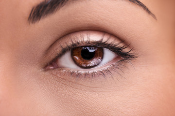 Naklejka premium A beautiful insightful look brown woman's eye